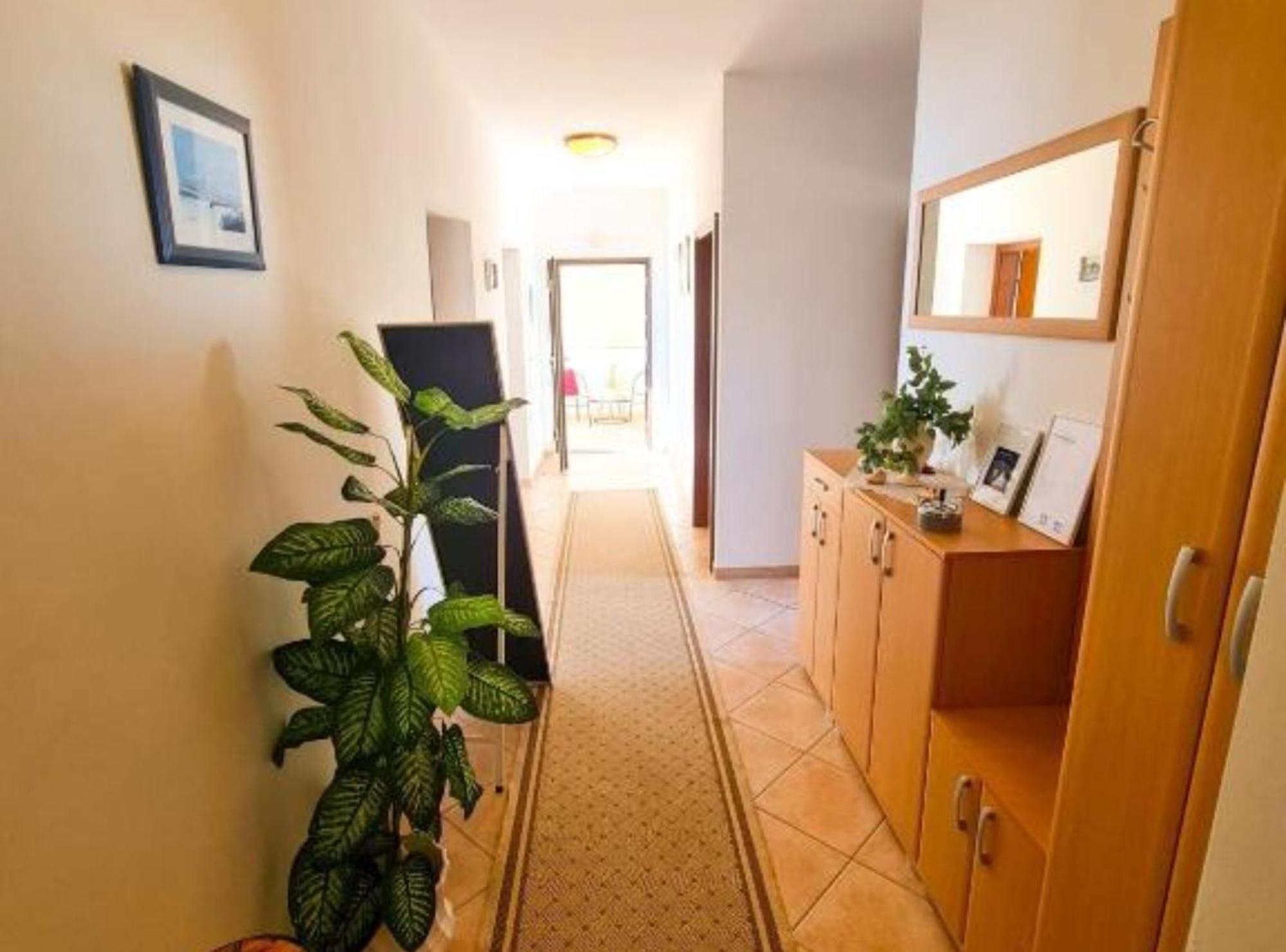 Apartments Marko 诺维·维诺多尔斯基 外观 照片